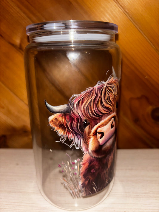 Clear highland cow